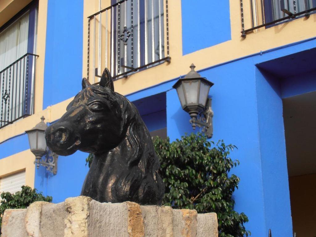 פוארטו ריאל Hotel Caballo Negro מראה חיצוני תמונה