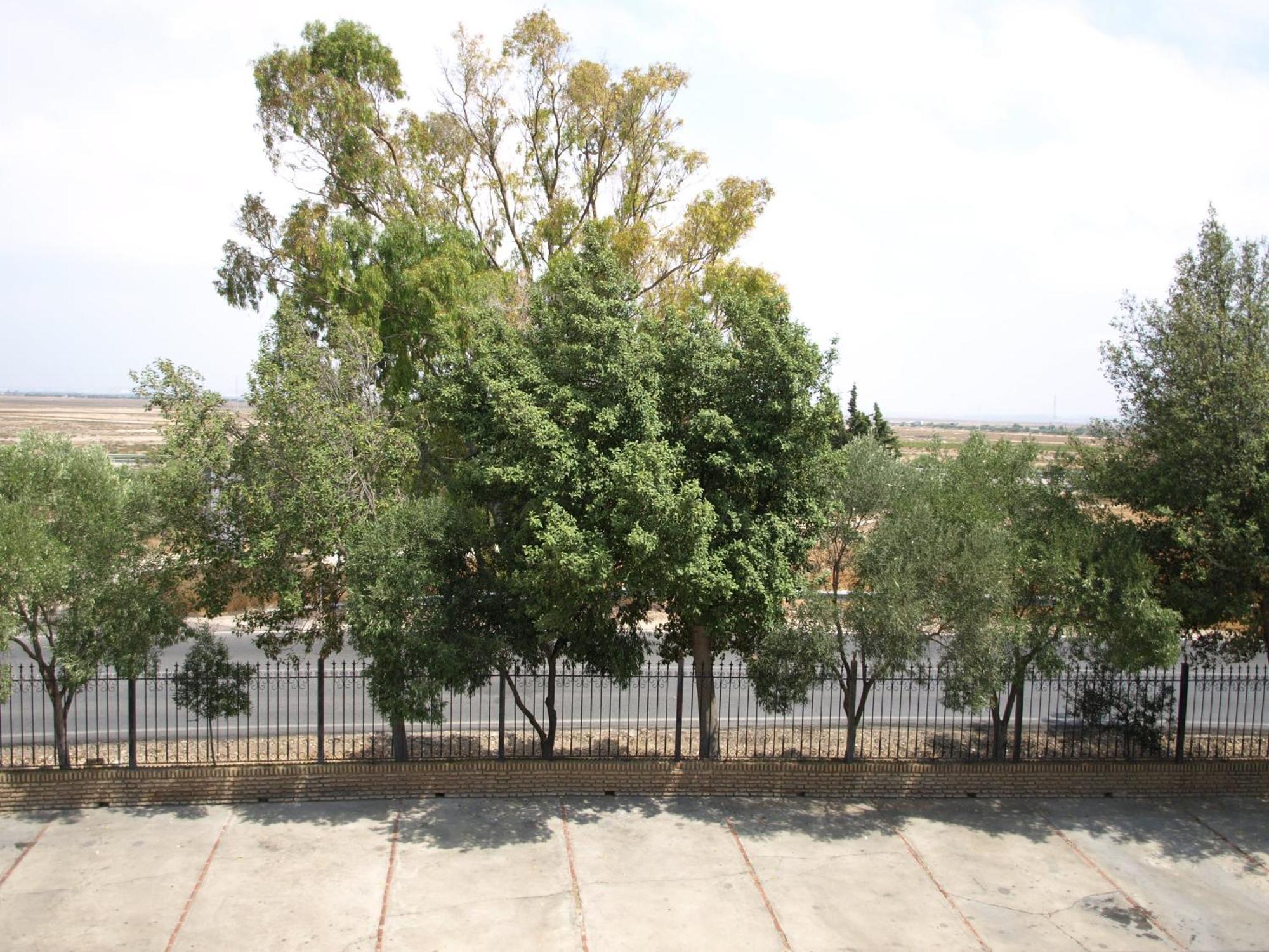 פוארטו ריאל Hotel Caballo Negro מראה חיצוני תמונה